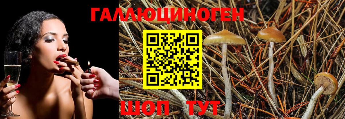 Экстази  АМФ   Вход с VPN  Нововоронеж  Гашиш  Кокаин  Меф МЯУ МЯУ  